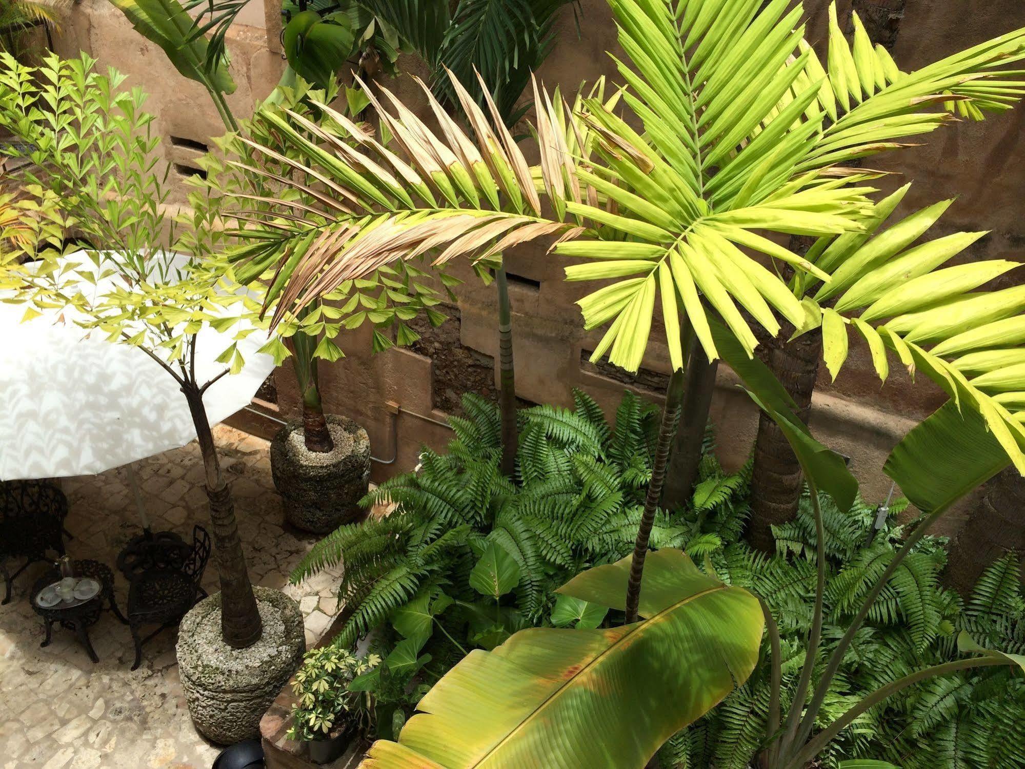 ホテル El Beaterio Casa Museo サントドミンゴ エクステリア 写真